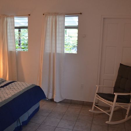 Palm Trees Apartments Willemstad Bagian luar foto