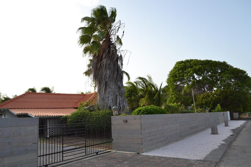 Palm Trees Apartments Willemstad Bagian luar foto